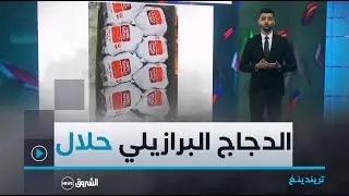 تريندينغ | الدجاج البرازيلي #حلال وجزائريون ينشرون فيديوهات من البرازيل لتطمين الرأي العام