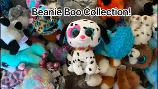 Beanie Boo Collection 2025!! [ #beanieboos ]