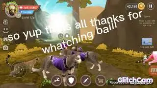 No name pet and big animal glitch!!