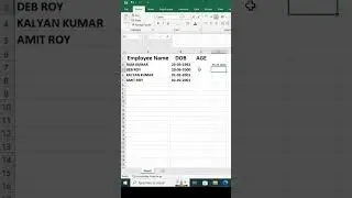 How to calculate age in excel// simple formula Calculate Age in Excel from Date of Birth