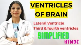 Ventricles of Brain in hindi | Anatomy - Lateral, third & fourth ventricles | Dr Prachi
