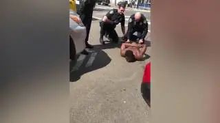 San Diego CA K9 mauls suspects arm