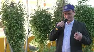 Даль  великая - Геннадий Левченко