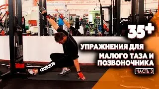Упражнения для малого таза и позвоночника - мужское здоровье