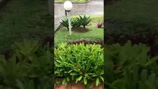 Hujan