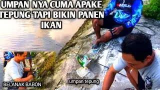 MANCING IKAN CUMA PAKE TEPUNG‼️TERNYATA BIKIN PANEN IKAN