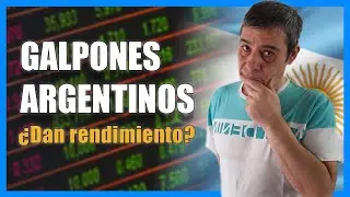 Galpones Argentinos | ¿Que tan rentables son?
