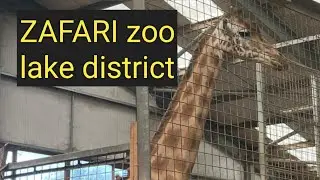 Safari zoo   (day 2 in lake district)