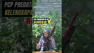 SPESIAL KEMERDEKAAN 🇮🇩🇮🇩 || PCP PREDATOR OD 38 POPOR TUMPUK POTONGAN POT HARGA HINGG 200RB !!