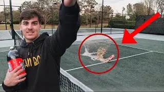 WE SHOULD NOT HAVE DONE THIS!!