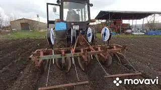 укладка капельной ленты для полива картофеля