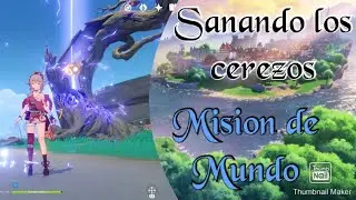 Genshin Impact | Sanando los cerezos | Misión de Mundo | V2.0