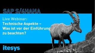 Webinar Road to SAP S/4HANA: Technische Aspekte  | itesys AG