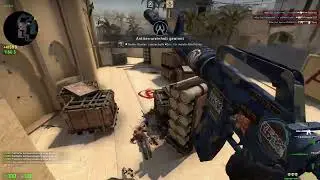 csgo mitte 2022 wild