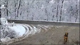 Краснодар.пос.Дружелюбный .зима 2024г.