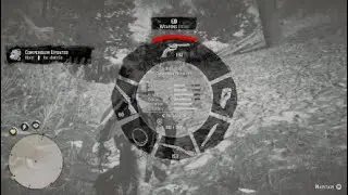 Bear Attack in Red Dead Redemption 2*
