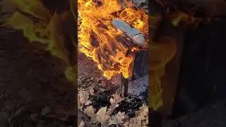 топор костер лес(2)