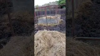 приехали,грязь по колено .