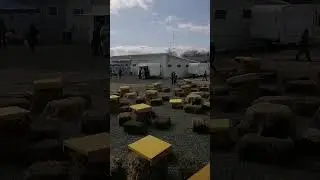 МАСЛЕНИЦА НА сырной ферме 