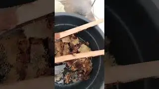 Toza Asal Qanday Olinadi.