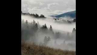How to make fog in Blender | Easy Tutorial