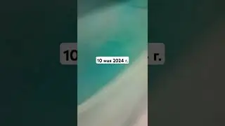 10 мая 2024 г.
