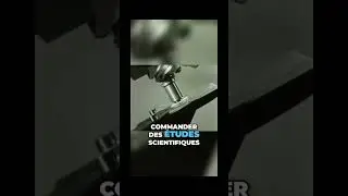 Le complot de l'industrie du sucre