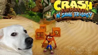 ВЗРЫВНАЯ ВОЛНА ИЗ ПРОШЛОГО | Crash Bandicoot N. Sane Trilogy прохождение 1