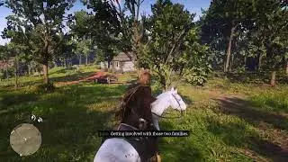 Messing Around in Red Dead Redemption 2