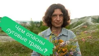 Луговые травы. Польза или вред?