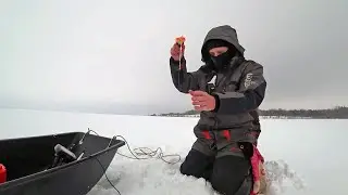 Fishing for perch in winter
