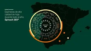 ¡Conoce nuestra solución 𝗦𝗽𝗶𝗻𝗮𝗰𝗵 𝟯𝟲𝟱®!