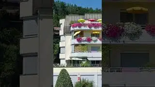 цветы на балконах