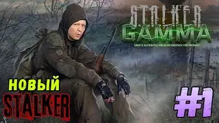 ☢️S.T.A.L.K.E.R.☢️ Anomaly GAMMA ➤ Прохождение #1