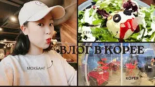 Новая жизнь в Корее! (Кухня ведьмы/мукбанг)😋