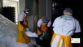 video empaque 3