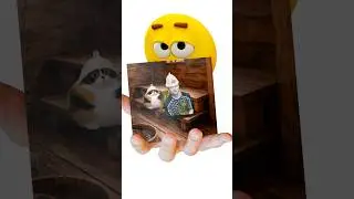 Where did the meme come from? #25