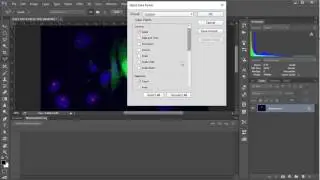 60s 'shop: Using the count tool in Photoshop CC