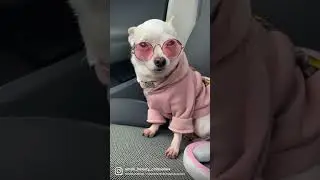 Доброго ранку❤️