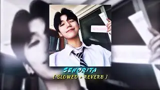 Shawn mendes & Camila Cabello - Slowed + Reverb || #senorita #slowedreverb