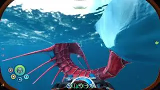 CHELICERATE ALMOST EATS MY ASS | Subnautica BZ Highlight