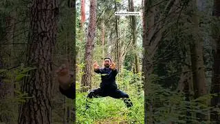 Тренировка Кунг-фу в лесу! #dance #reels #youtube #kungfu #2024