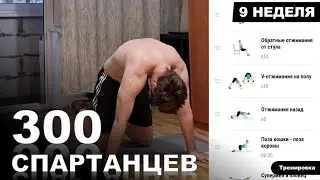 ТРЕНИРОВКА ВСЕГО ТЕЛА | Марафон - 300 СПАРТАНЦЕВ | #9