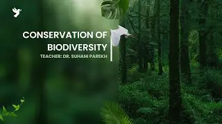 Conservation of Biodiversity l Biodiversity l by Dr. Suhani Parekh #biodiversity #conservation