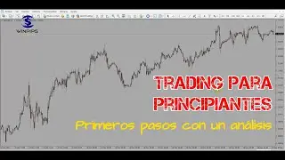 Cómo analizar gráficas de trading (divisas, acciones...) | Winpips
