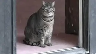 Песня когда висна стучит в акно