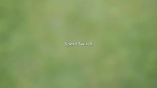 Drone speed adjustment (BL03 Drone)