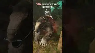 How to FARM Chitin in ARK : Survival Ascended ?