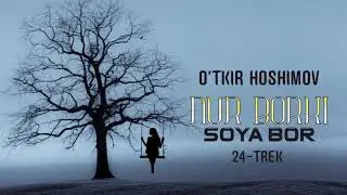 Audio kitob | Nur borki soya bor 24-trek | O'tkir Hoshimov