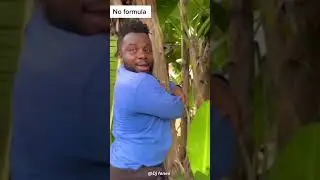 Nawa ooh Fish Pie Saller Guy Mara version
